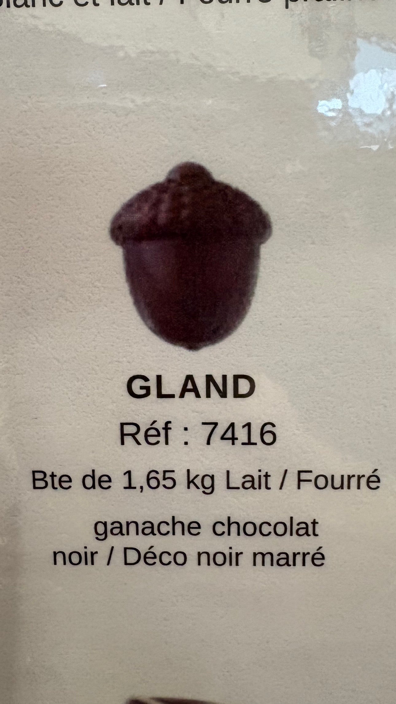 CHOCOLAT BELGE GLAND (X5)