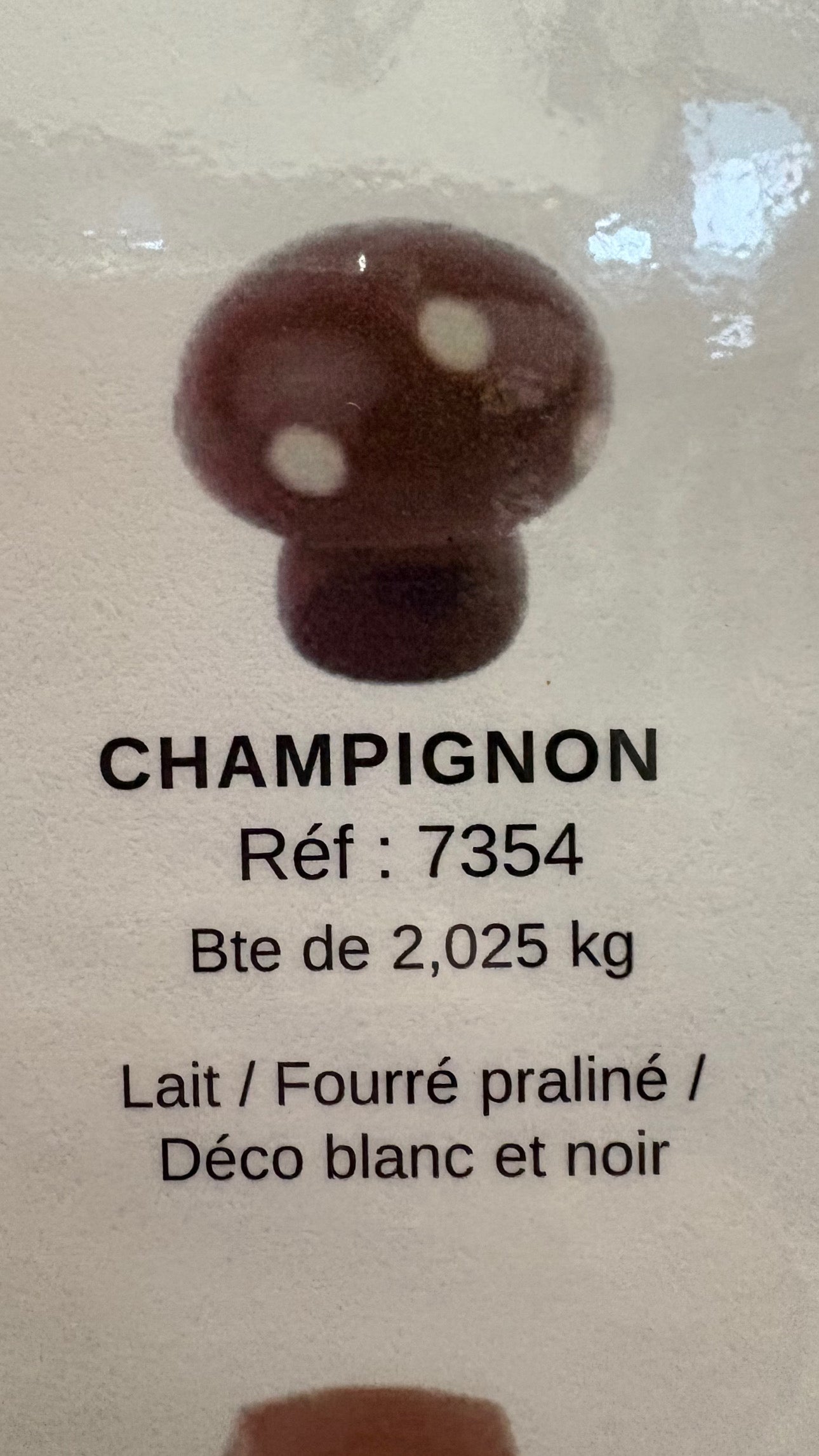 CHOCOLAT BELGE CHAMPIGNON (X5)