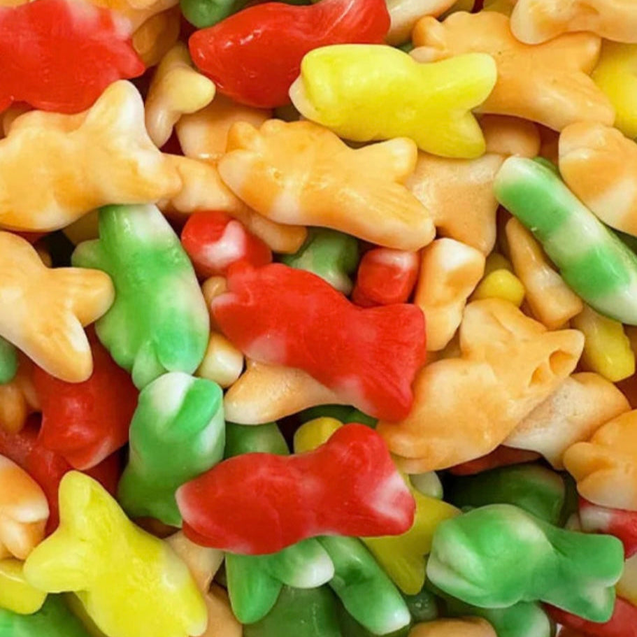 Poisson Twist DULCE PLUS