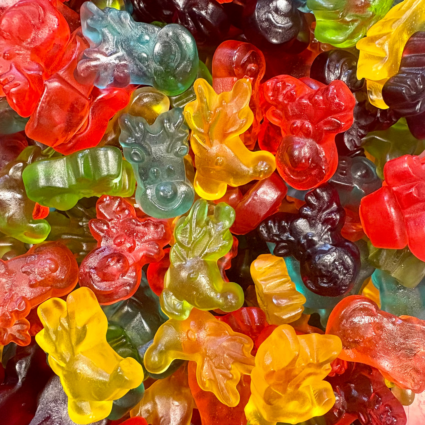 TETE DE RENNE HARIBO