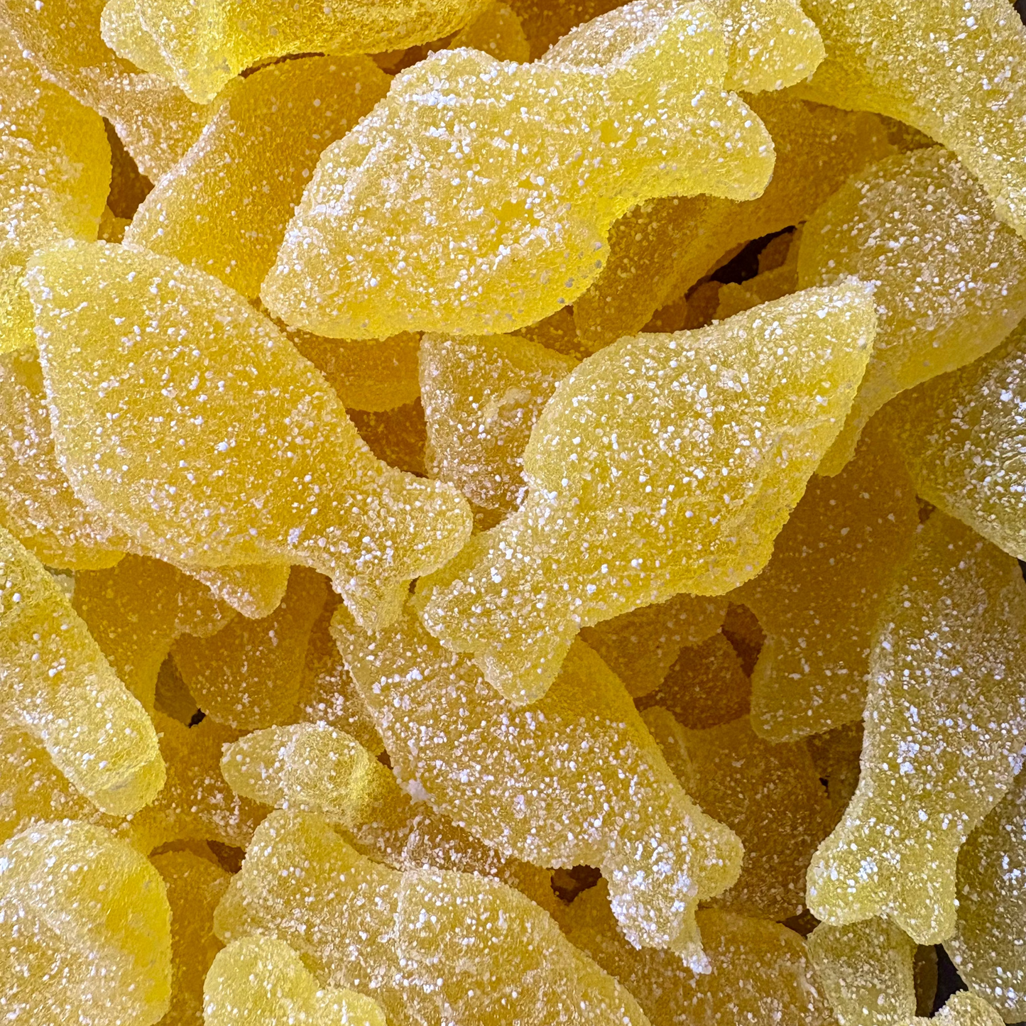 POISSON FIZZ CITRON LUTTI