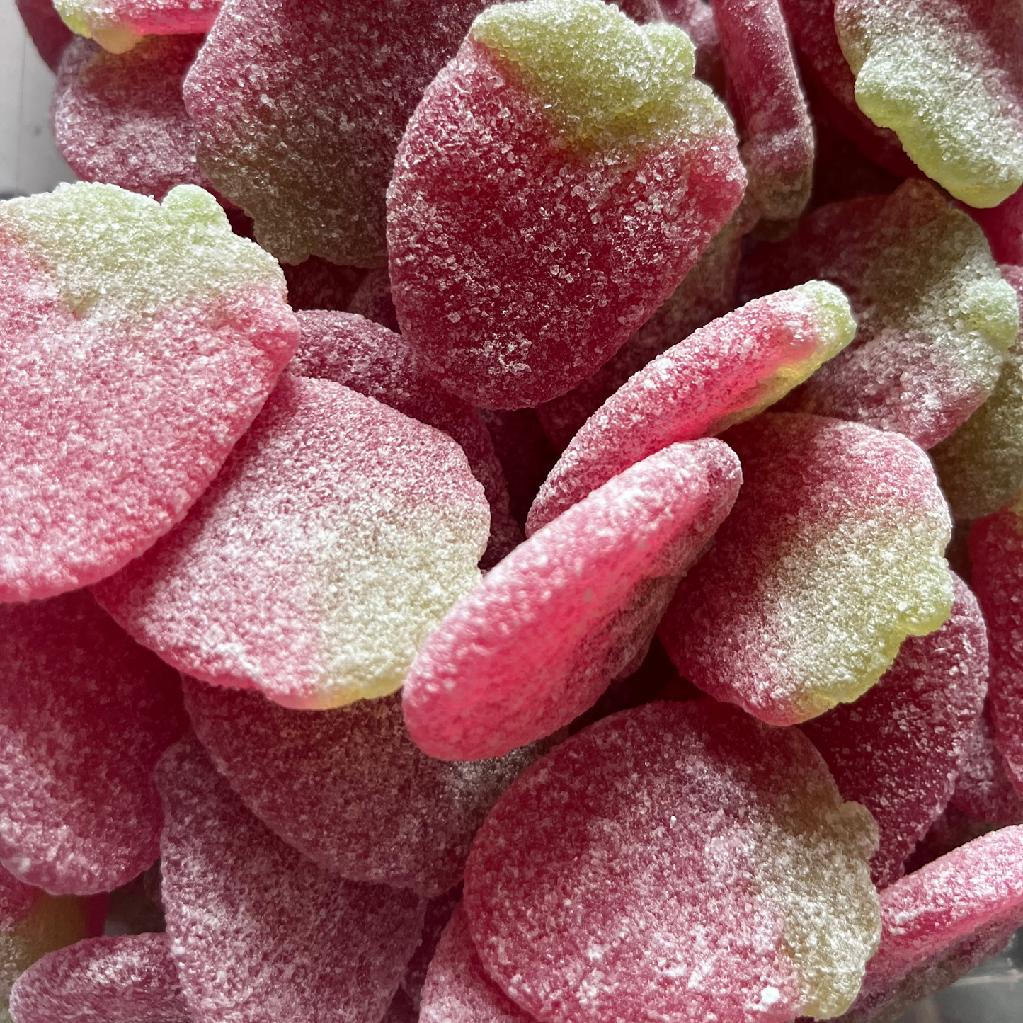 Fraise sauvage FRISIA
