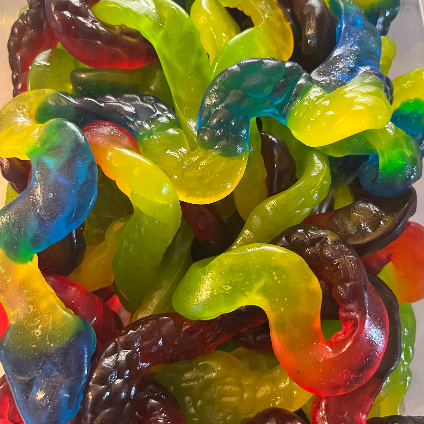 Serpent XXL (x1) FINI