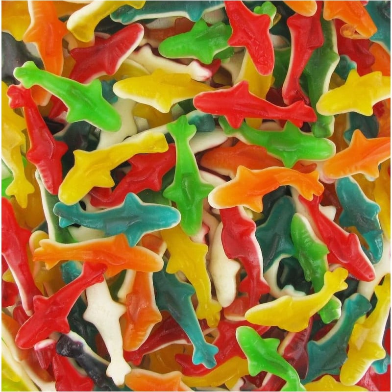 Requin coloré lisse