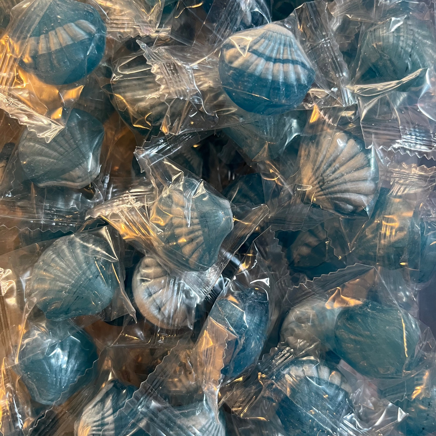 COQUILLAGE MENTHE (X10)