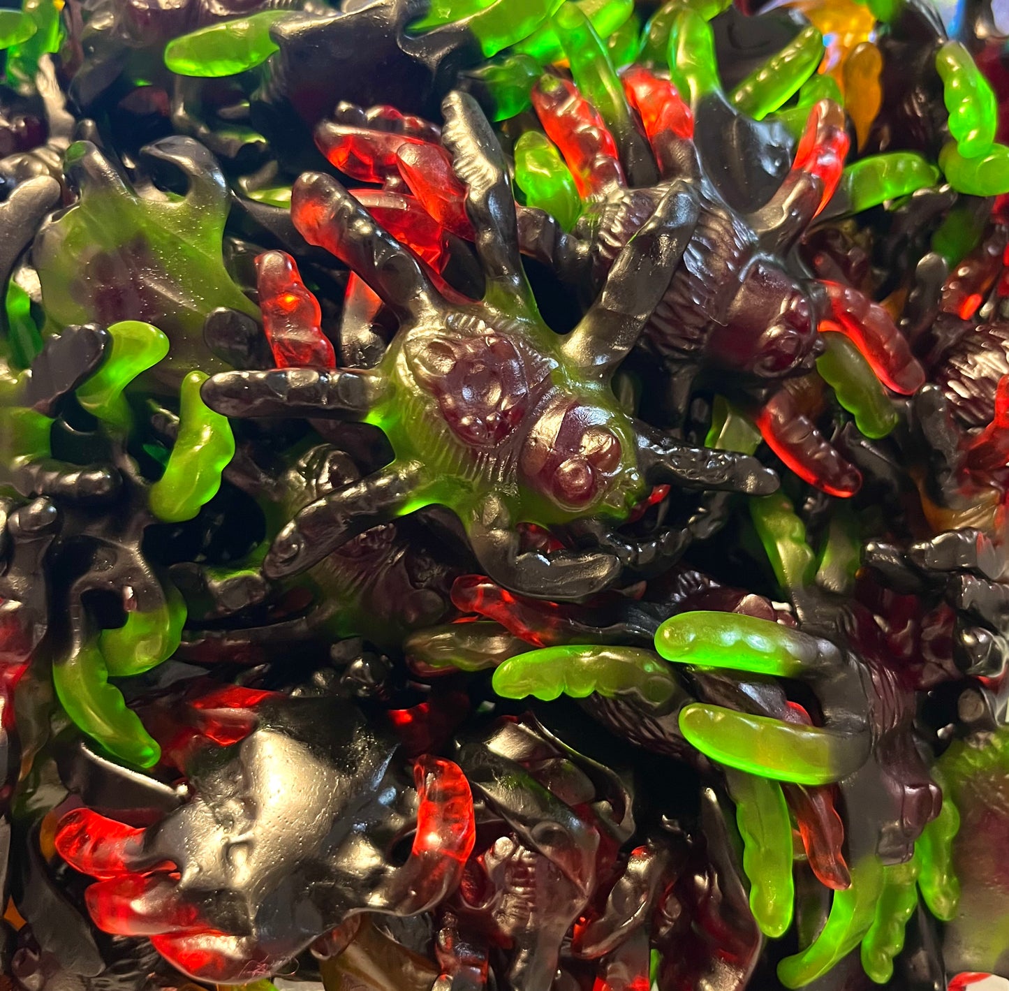 Araignée lisse TROLLI