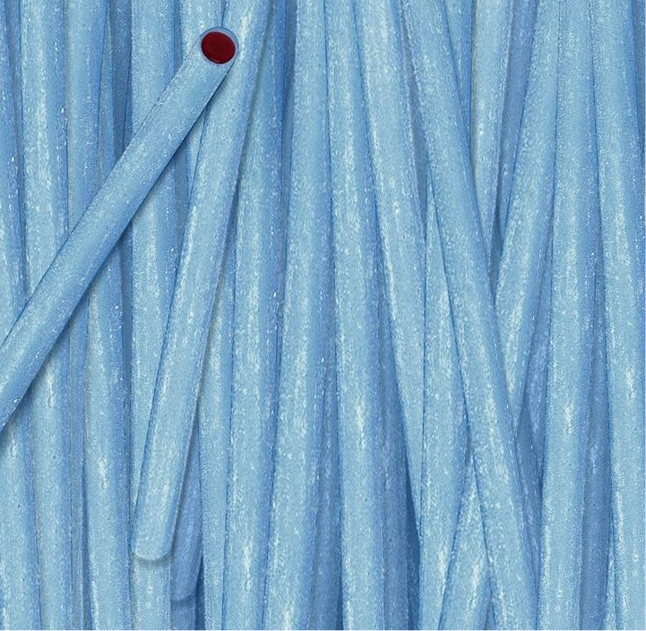 Pencil framboise (x10)