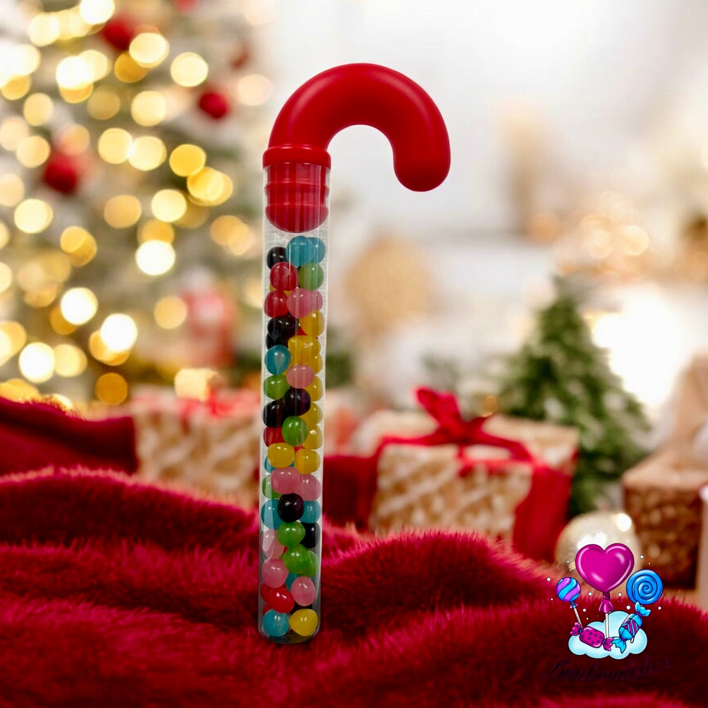 CANNE DE NOËL DRAGIBUS