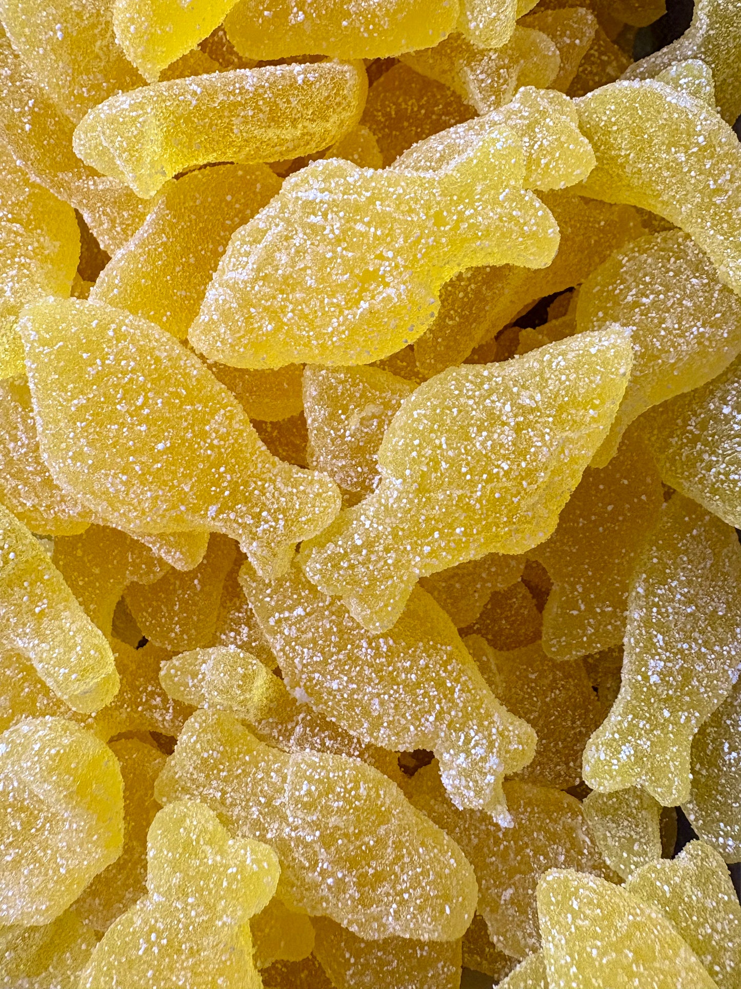 POISSON FIZZ CITRON LUTTI