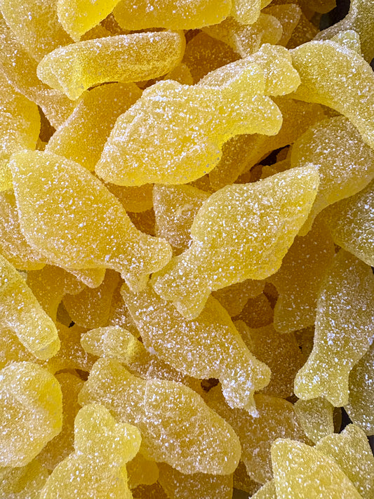 POISSON FIZZ CITRON LUTTI