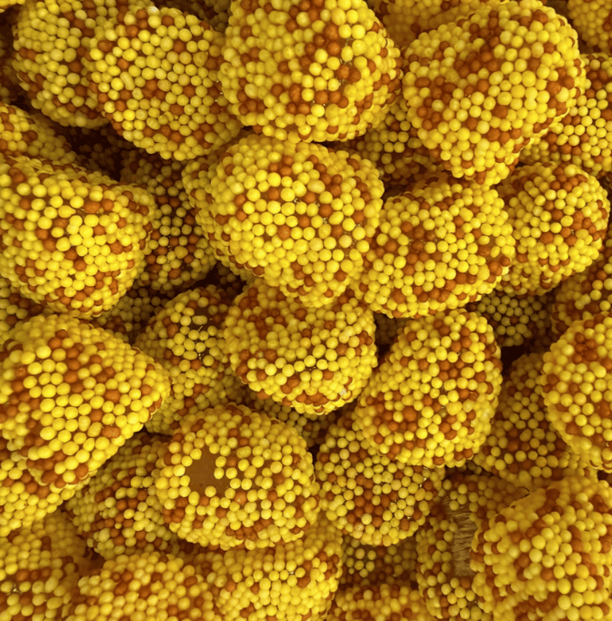 MURE CITRON/COLA