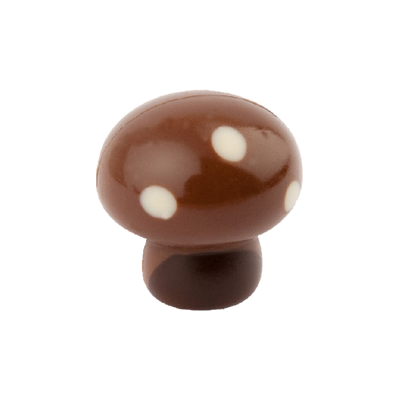 CHOCOLAT BELGE CHAMPIGNON (X5)