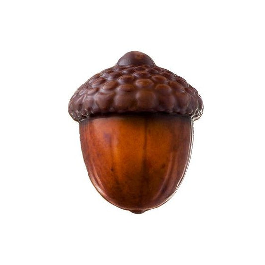 CHOCOLAT BELGE GLAND (X5)
