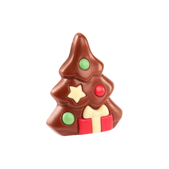 CHOCOLAT BELGE SAPIN (X5)