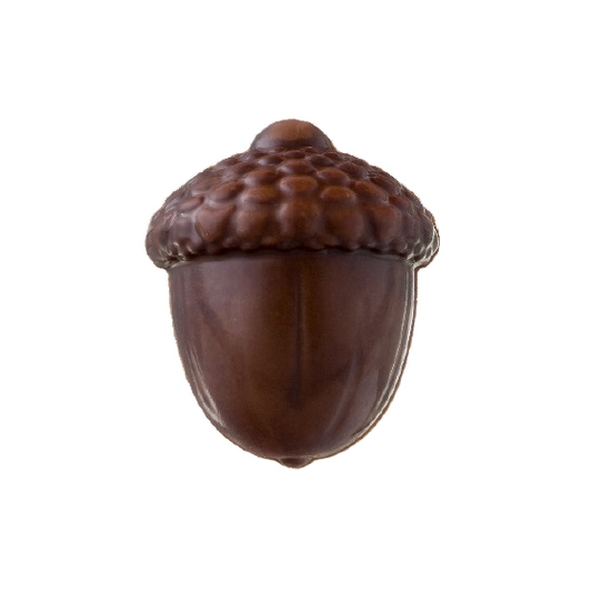 CHOCOLAT BELGE GLAND (X5)