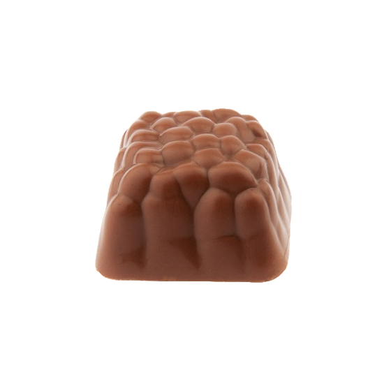 CHOCOLAT BELGE MYRTHE (X5)