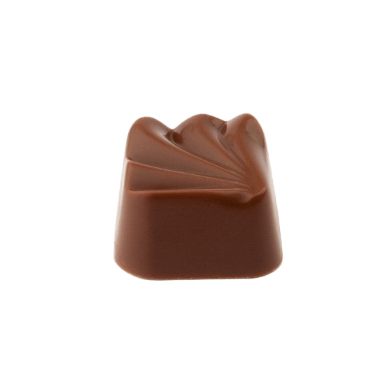 CHOCOLAT BELGE SALVADOR (X5)